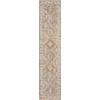 image:imageNourison Home Petra Ivory Multicolor 710 x 104 Area Rug  Easy Clean Non Shedding Bed Room Living Room Dining Room Kitchen 8 x 10Blue