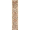 image:imageNourison Home Petra Ivory Multicolor 710 x 104 Area Rug  Easy Clean Non Shedding Bed Room Living Room Dining Room Kitchen 8 x 10Green