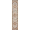 image:imageNourison Home Petra Traditional Ivory Blue 311 x 511 Area Rug Easy Clean Non Shedding Bed Room Living Room Dining Room Kitchen 4x6IvRust