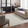 image:imageNourison Home Santa Cruz Abstract Silver 9 x 12 Area Rug Easy Cleaning Non Shedding Bed Room Living Room Dining Room Kitchen 9x12Silver