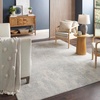 image:imageNourison Home Splendid Light Grey 53 x 73 Area Rug  Easy Clean Non Shedding Bed Room Living Room Dining Room Kitchen 5 x 7Light Grey