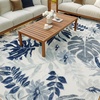 image:imageNourison Home Suncoast Multicolor 53 x 73 Area Rug  Easy Clean Non Shedding Bed Room Living Room Dining Room Kitchen 5 x 7Blue