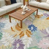 image:imageNourison Home Suncoast Multicolor 53 x 73 Area Rug  Easy Clean Non Shedding Bed Room Living Room Dining Room Kitchen 5 x 7Multi Color