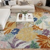 image:imageNourison Home Suncoast Multicolor 53 x 73 Area Rug  Easy Clean Non Shedding Bed Room Living Room Dining Room Kitchen 5 x 7Multi Color