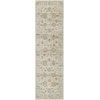 image:imageNourison Home Traditional Home Traditional Grey 26 x 46 Area Rug Easy Cleaning Non Shedding Bed Room Living Room Dining Room Kitchen 3x5Ivory Beige