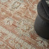 image:imageNourison Home Traditional Home Traditional Grey 26 x 46 Area Rug Easy Cleaning Non Shedding Bed Room Living Room Dining Room Kitchen 3x5Terracotta
