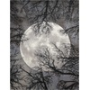 image:imageNourison Home Twilight Ivory Multicolor 2 x 3 Area Rug  Easy Clean Non Shedding Bed Room Living Room Dining Room Kitchen 2 x 3Moon