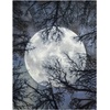 image:imageNourison Home Twilight Ivory Multicolor 2 x 3 Area Rug  Easy Clean Non Shedding Bed Room Living Room Dining Room Kitchen 2 x 3Moon