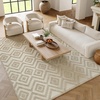 image:imageNourison Home Versatile Ivory White 3 x 5 Area Rug  Easy Clean Non Shedding Bed Room Living Room Dining Room Kitchen 3 x 5Cream