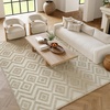 image:imageNourison Home Versatile Ivory White 3 x 5 Area Rug  Easy Clean Non Shedding Bed Room Living Room Dining Room Kitchen 3 x 5Cream