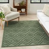 image:imageNourison Home Versatile Ivory White 3 x 5 Area Rug  Easy Clean Non Shedding Bed Room Living Room Dining Room Kitchen 3 x 5Green