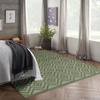 image:imageNourison Home Versatile Ivory White 3 x 5 Area Rug  Easy Clean Non Shedding Bed Room Living Room Dining Room Kitchen 3 x 5Green