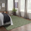image:imageNourison Home Versatile Ivory White 3 x 5 Area Rug  Easy Clean Non Shedding Bed Room Living Room Dining Room Kitchen 3 x 5Green