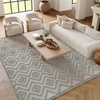 image:imageNourison Home Versatile Ivory White 3 x 5 Area Rug  Easy Clean Non Shedding Bed Room Living Room Dining Room Kitchen 3 x 5Silver Grey