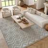 image:imageNourison Home Versatile Ivory White 3 x 5 Area Rug  Easy Clean Non Shedding Bed Room Living Room Dining Room Kitchen 3 x 5Silver Grey