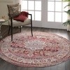 image:imageNourison Home Vintage Kashan Vintage Grey 4 x Round Area Rug Easy Cleaning Non Shedding Bed Room Living Room Dining Room Kitchen 4 RoundRed
