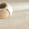 image:imageNourison Home Washable Charm Ivory 2 x 3 Area Rug  Easy Clean Non Shedding Bed Room Living Room Dining Room Kitchen 2 x 3Ivory