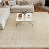 image:imageNourison Home Washable Charm Ivory 2 x 3 Area Rug  Easy Clean Non Shedding Bed Room Living Room Dining Room Kitchen 2 x 3Ivory