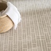 image:imageNourison Home Washable Charm Ivory 2 x 3 Area Rug  Easy Clean Non Shedding Bed Room Living Room Dining Room Kitchen 2 x 3Silver Ivory