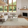 image:imageNourison Home Washable Charm Ivory 2 x 3 Area Rug  Easy Clean Non Shedding Bed Room Living Room Dining Room Kitchen 2 x 3Silver Ivory