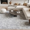 image:imageNourison Home Whimsicle Grey 5 x 7 Area Rug  Easy Clean Non Shedding Bed Room Living Room Dining Room Kitchen 5 x 7Grey
