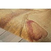 image:imageNourison Somerset Rectangle Traditional Polyester Acrylic Area Rug in Beige
