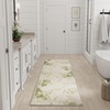image:imageNourison Home Astra Machine Washable Silver Blue 53 x 7 Area Rug Easy Clean Non Shedding Bed Room Living Room Dining Room Kitchen 5 x 7Beige Green