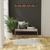 image:imageNourison Home Dekor Grey Navy 53 x 7 Area Rug  Easy Clean Non Shedding Bed Room Living Room Dining Room Kitchen 5 x 7Grey