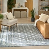 image:imageNourison Home Grace Sage 53 x 73 Area Rug  Easy Clean Non Shedding Bed Room Living Room Dining Room Kitchen 5 x 7Blue