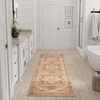 image:imageNourison Home Vintage Washables Coral Mint 53 x 73 Area Rug  Easy Clean Non Shedding Bed Room Living Room Dining Room Kitchen 5 x 7Coral Multicolor