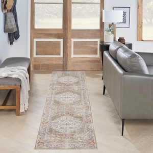 image:imageNourison Home Astra Machine Washable Rust Multicolor 33 x 5 Area Rug  Easy Clean Non Shedding Bed Room Living Room Dining Room Kitchen 3 x 5Sage Multicolor