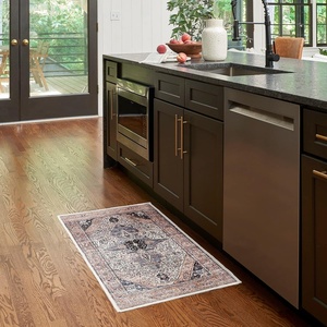 image:imageNourison Home Brilliance Machine Washable Traditional Vintage IvoryBrick 53 x 73 Area Rug EasyCleaning Non Shedding Bed Room Living Room Dining Room Kitchen 5x7Ivory Blue