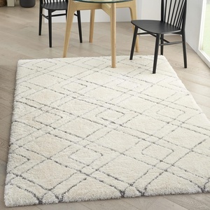 image:imageNourison Home Luxurious Shag Modern amp Contemporary Ivory 4 x 6 Area Rug Easy Clean Non Shedding Bed Room Living Room Dining Room Kitchen 4x6Ivory