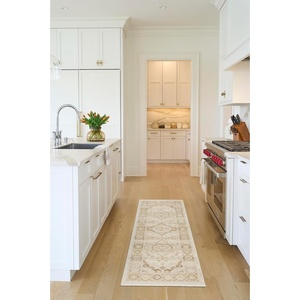 image:imageNourison Home Pardis Ivory Beige 53 x 7 Area Rug  Easy Clean Non Shedding Bed Room Living Room Dining Room Kitchen 5 x 7Ivory Beige