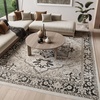 image:imageNourison Dekor Ivory Charcoal 710 x 910 Area Rug  Easy Clean Non Shedding Bed Room Living Room Dining Room Kitchen 8 x 10