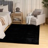 image:imageNourison Home Soft Plush Rabbit Fur Black 4 x 6 Area Rug  Easy Clean Non Shedding Bed Room Living Room Dining Room Kitchen 4 x 6Black