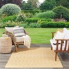 image:imageNourison Home Positano Jute 3 x 5 Area Rug  Easy Clean Non Shedding Bed Room Living Room Dining Room Kitchen 3 x 5Yellow