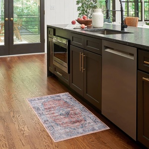image:imageNourison Home Brilliance Machine Washable Traditional Vintage BlueMulti 4 x 6 Area Rug Easy Cleaning Non Shedding Bed Room Living Room Dining Room Kitchen 4x6BlueMulti