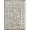 image:imageNourison Home Desert Mirage Charcoal Ivory 53 x 73 Area Rug  Easy Clean Non Shedding Bed Room Living Room Dining Room Kitchen 5 x 7Light Green