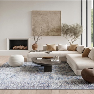 image:imageNourison Home New Concept Washables Light Grey Blue 710 x 910 Area Rug  Easy Clean Non Shedding Bed Room Living Room Dining Room Kitchen 8 x 10
