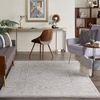 image:imageNourison Home Asher Contemporary Grey 311 x 511 Area Rug Easy Cleaning Non Shedding Bed Room Living Room Dining Room Kitchen 4x6