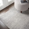 image:imageNourison Home Weston Modern Aquamarine 39 x 59 Area Rug Easy Cleaning Non Shedding Bed Room Living Room Dining Room Kitchen 4x6Silver Birch